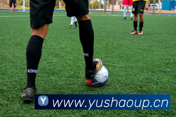 多媒体互动体验